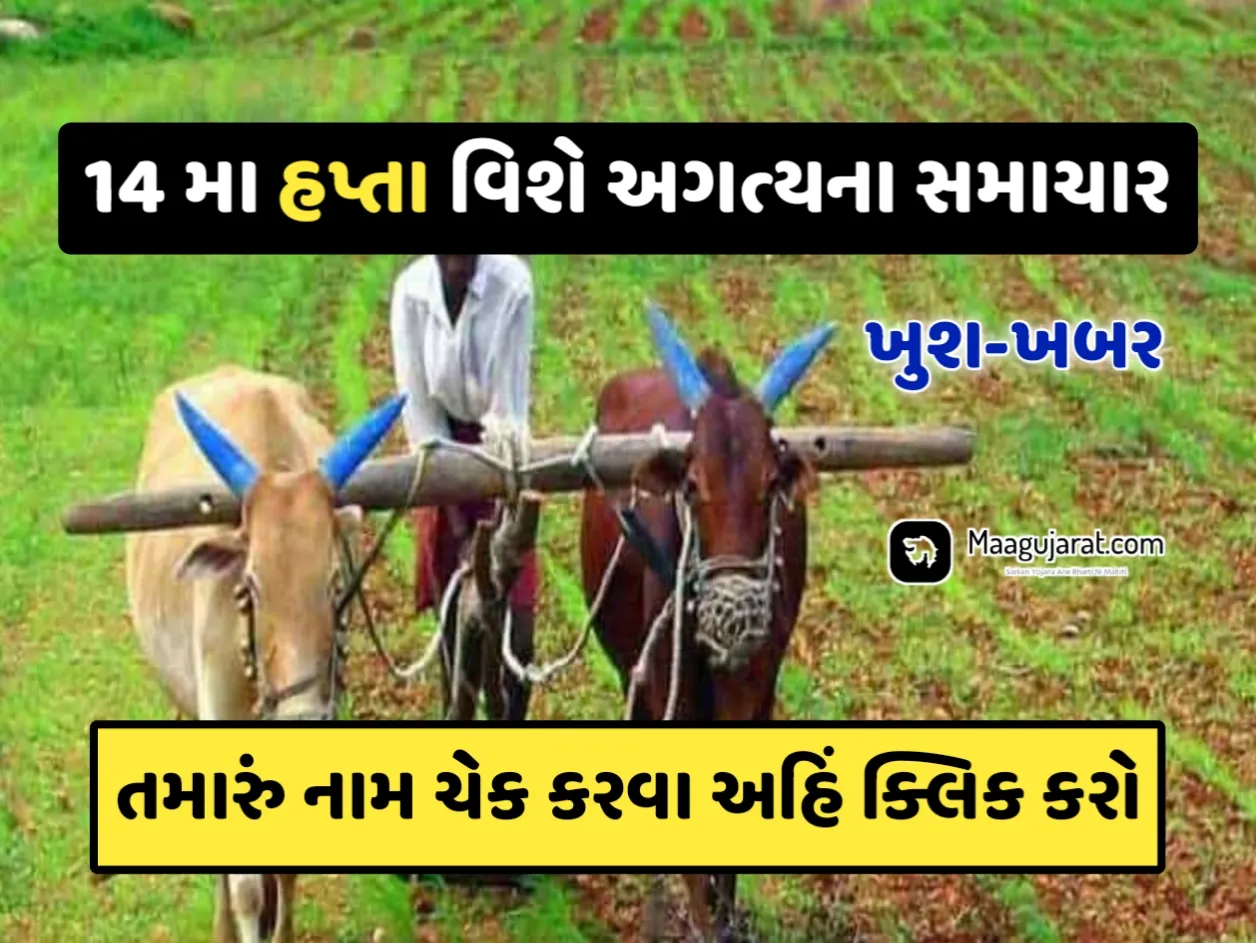 PM Kishan Beneficiary Status New Update: પીએમ કિસાન યોજનાના 14 માં હપ્તા વિશે લેટેસ્ટ માહીતી મેળવો