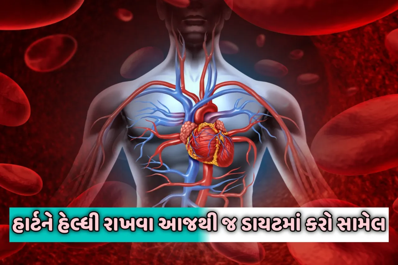 હાર્ટને હેલ્ધી રાખવા આજથી જ ડાયટમાં કરો સામેલ: નસોમાં જમા થઈ ગયેલા કોલેસ્ટ્રોલને ખેંચીને બહાર ફેંકી દેશે આ 5 વસ્તુઓ