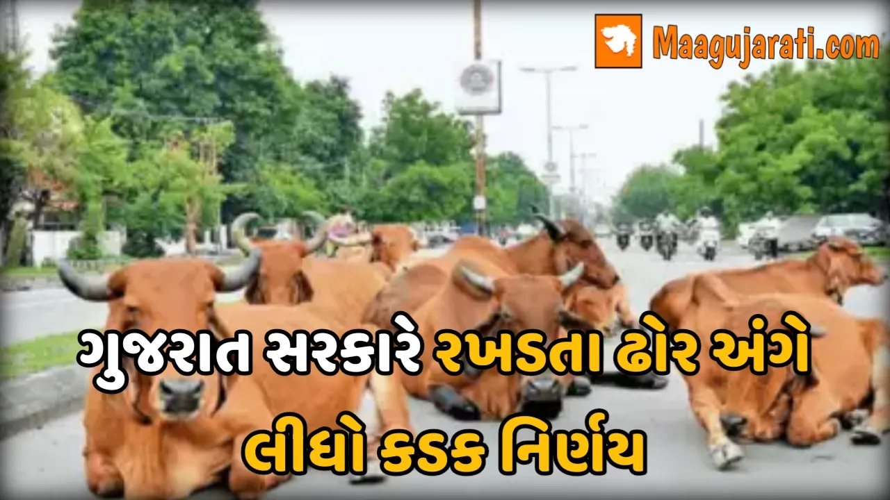 ગુજરાત સરકારે રખડતા ઢોર અંગે લીધો કડક નિર્ણય,મનપા-નપા વિસ્તારોમાં ઢોરનું રજીસ્ટ્રેશન ફરજિયાત