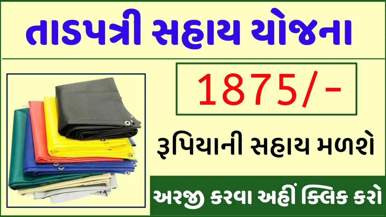 Tadpatri Sahay Yojana 2023: તાડપત્રી સહાય યોજના, જાણો સંપૂર્ણ માહિતી